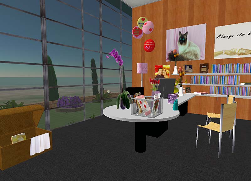 firstflooroffice4